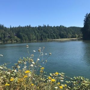 Meet your Posher, Ella